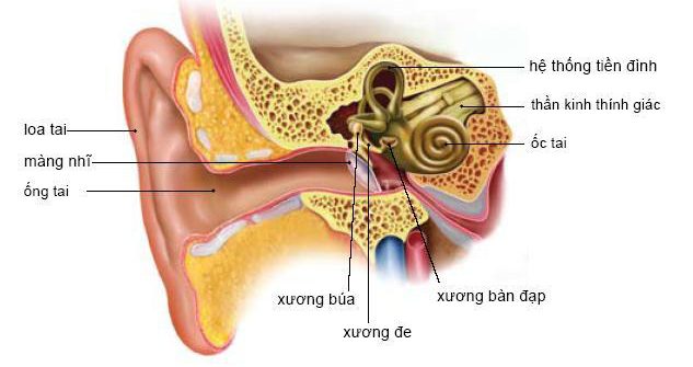 roi-loan-tien-dinh-1