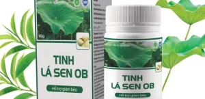 Tinh lá sen ob giảm cân